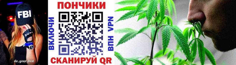 Купить наркотик аптеки Городовиковск Галлюциногенные грибы  Гашиш  КЕТАМИН  блэк спрут ссылка  Канабис  Cocaine 