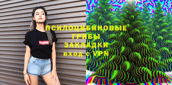 Альфа ПВП Бугульма