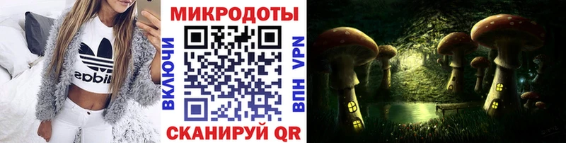 Галлюциногенные грибы Psilocybine cubensis  Городовиковск 