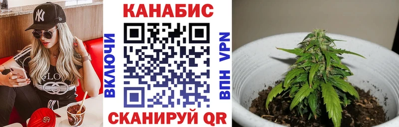 shop телеграм  Городовиковск  Каннабис Bruce Banner 